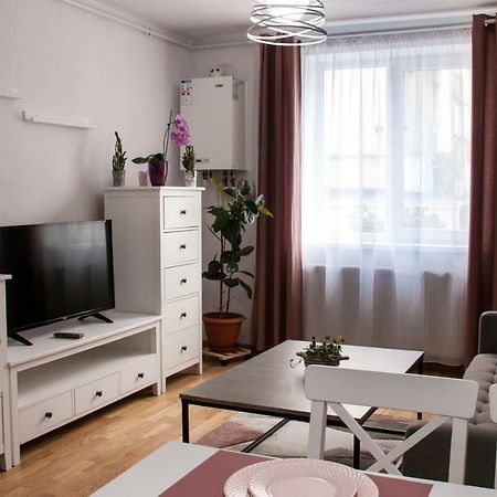 Ana Cristina Apartament Sighişoara Exterior foto