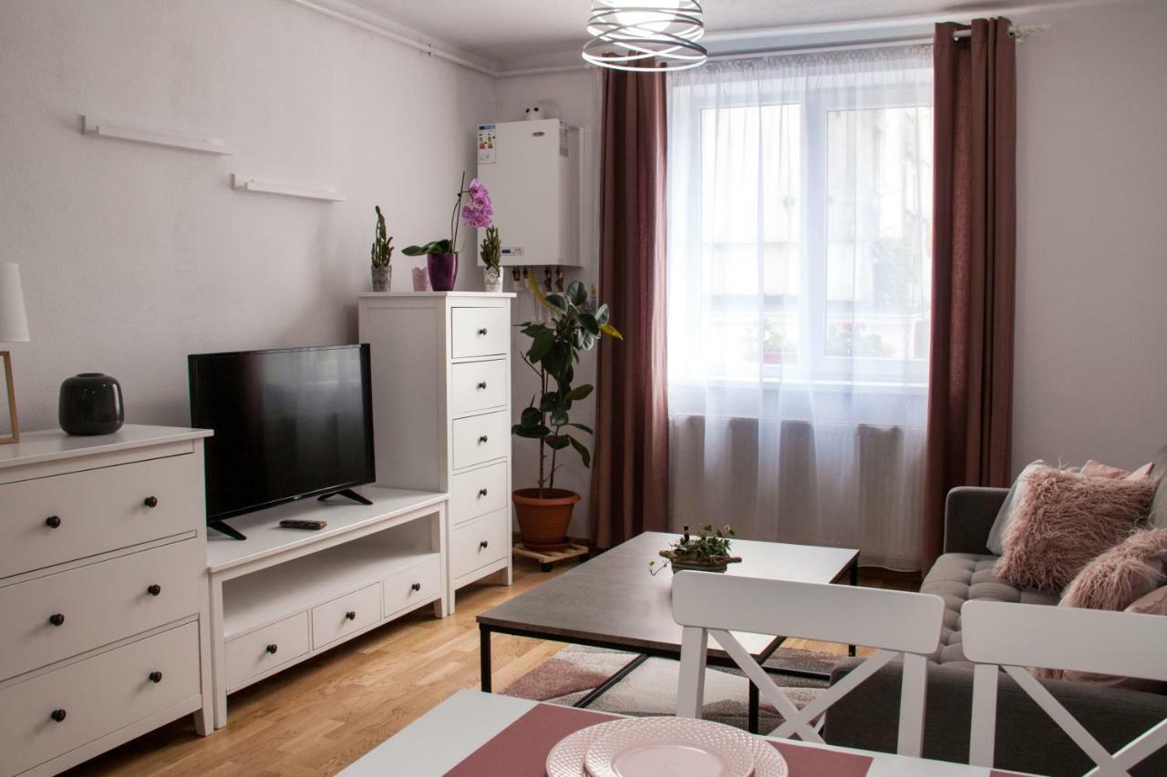 Ana Cristina Apartament Sighişoara Exterior foto